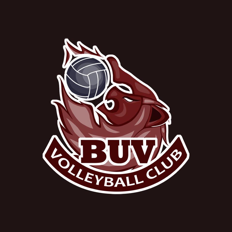 Poster for "BUV Lions Volleyball Club"